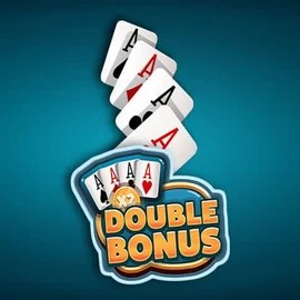 Enjoy Double Double Bonus by Red Rake Gaming – logo hosted on casino-instant.eu.com